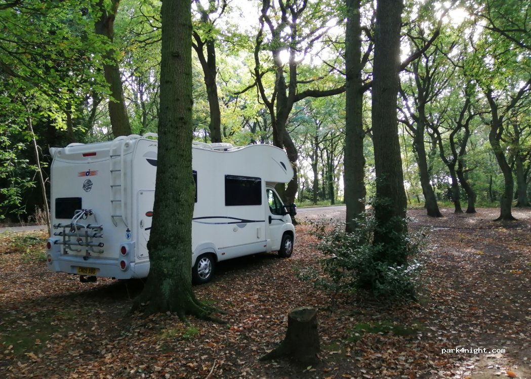 (CV9)  - The Common — foto 2