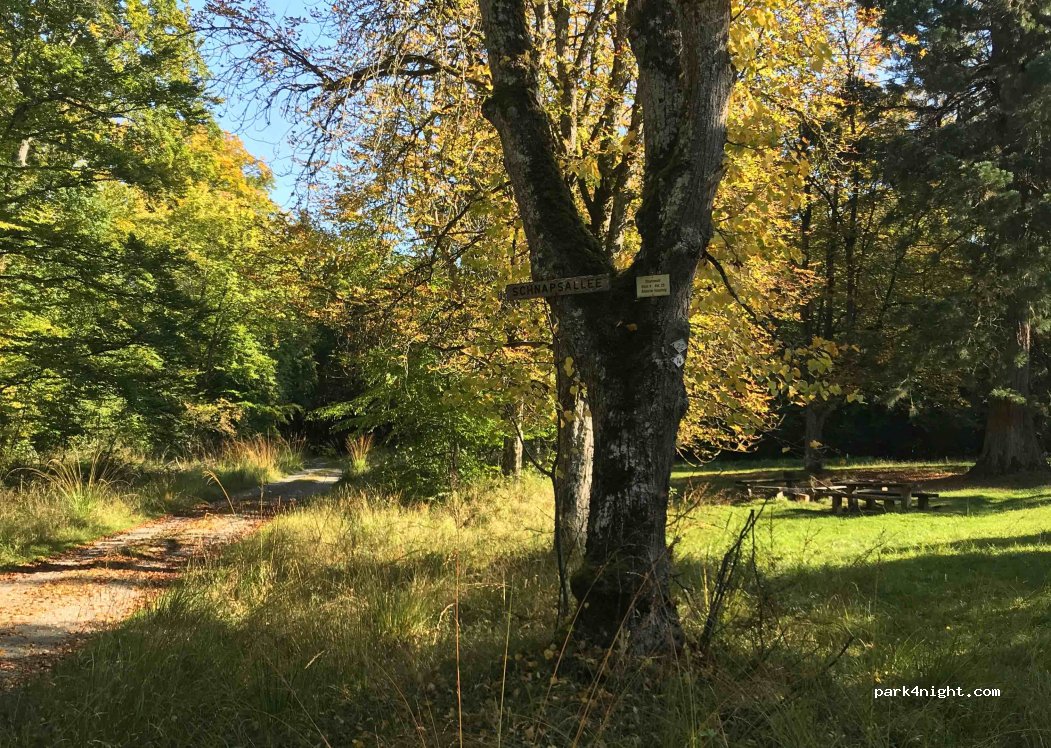 (71093) Weil im Schönbuch - Unnamed Road — foto 2