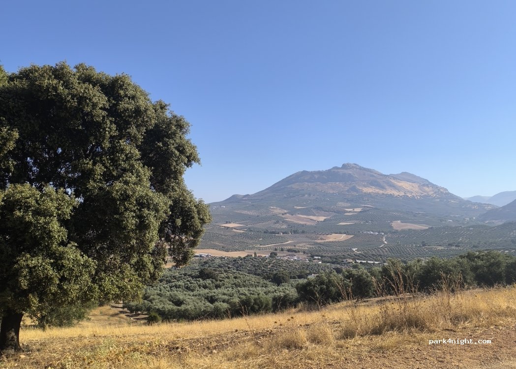 (29313) Villanueva del Trabuco - Unnamed Road — foto 4