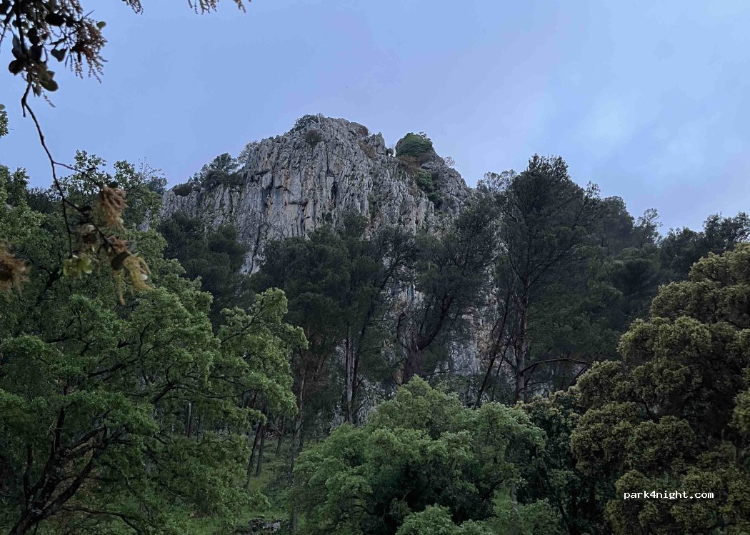 (29313) Villanueva del Trabuco - Unnamed Road — foto 5