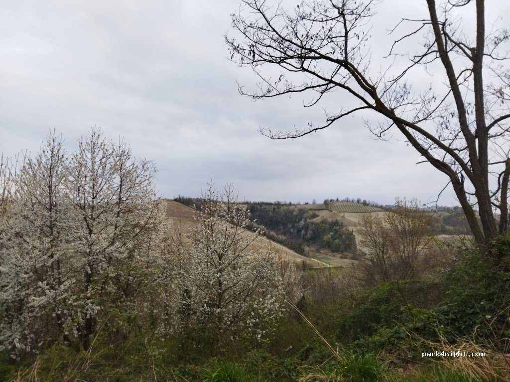 (15038) Ottiglio - Strada Comunale Moleto — foto