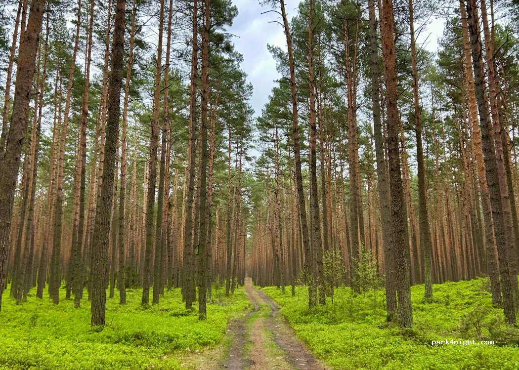 Przystań Turawa — foto 5