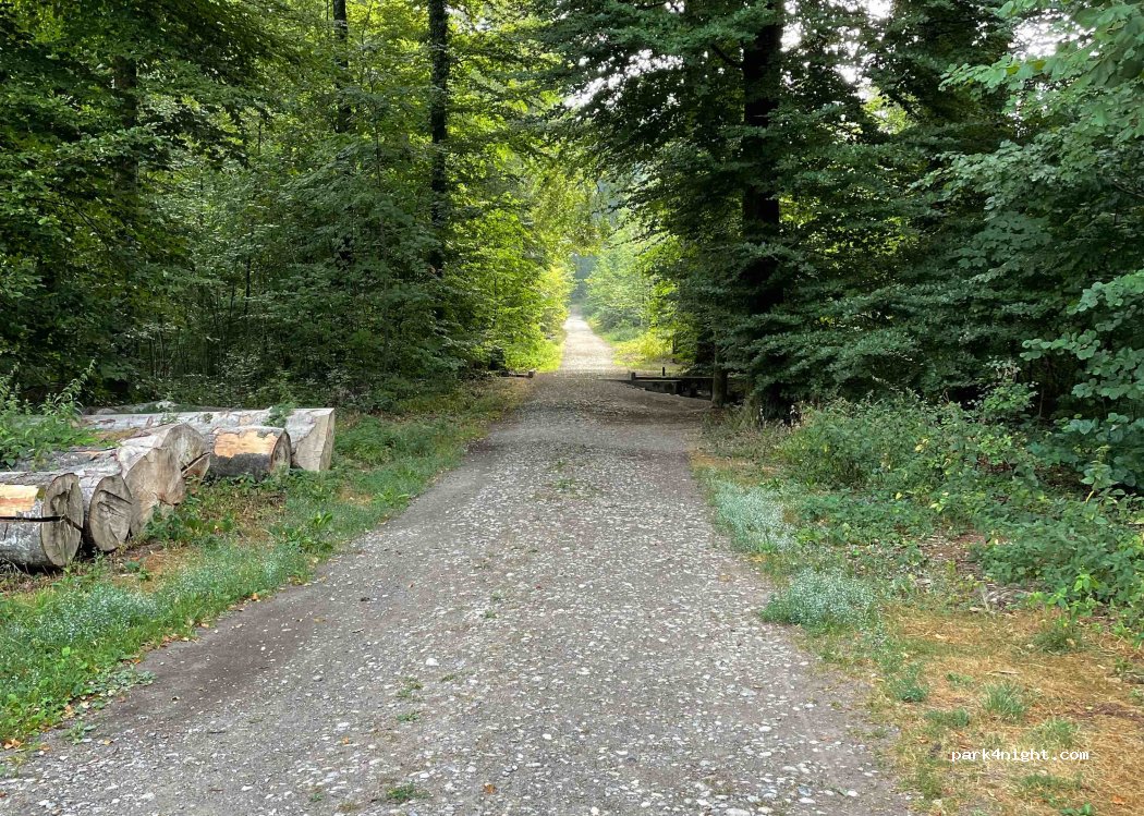 Parking de la forêt de Vernand — foto 2