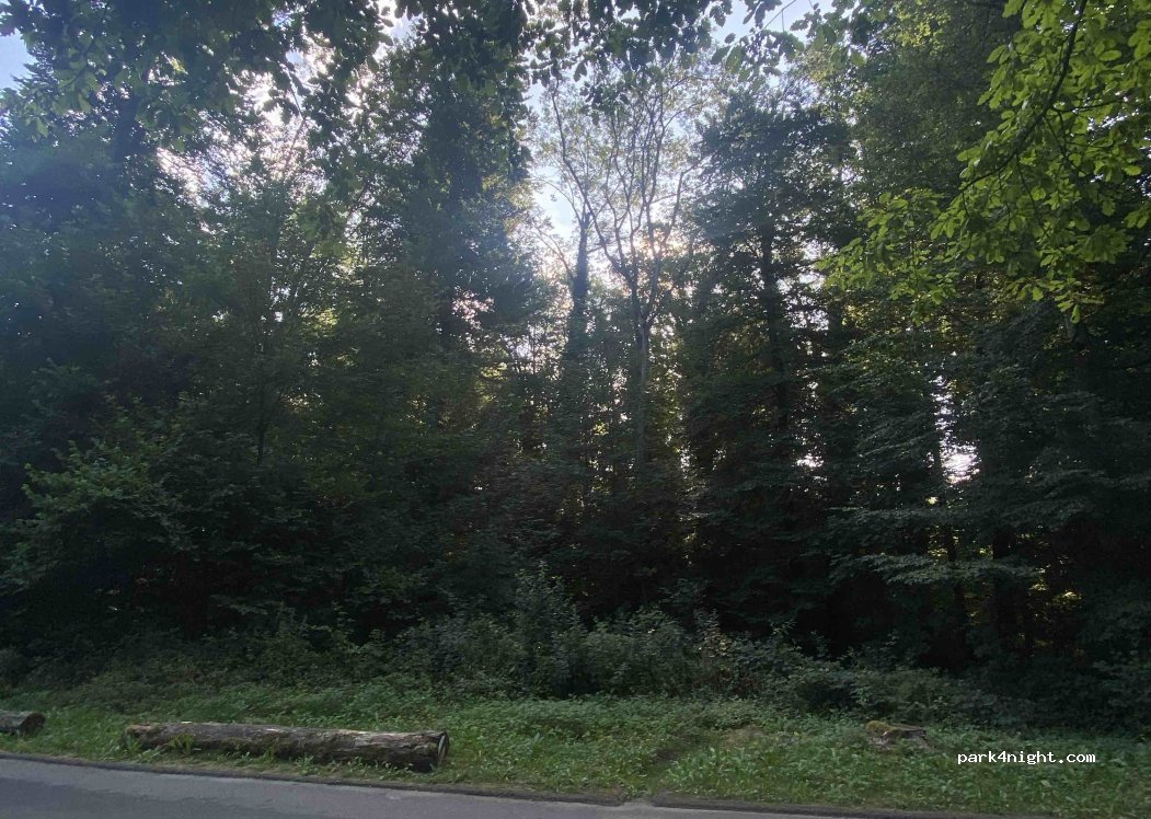 Parking de la forêt de Vernand — foto 5