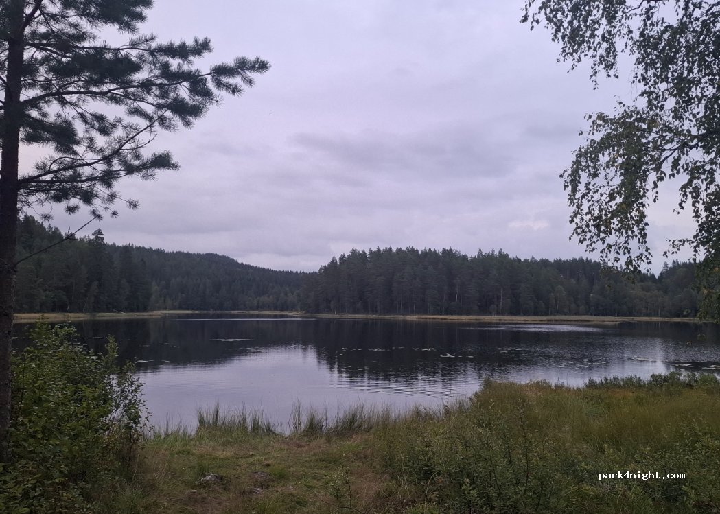 (1954) Setskog - Primær Fylkesveg 21 — foto 4