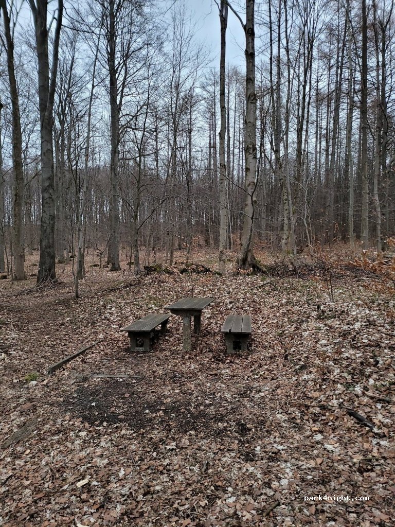 (37412) Herzberg am Harz - — foto