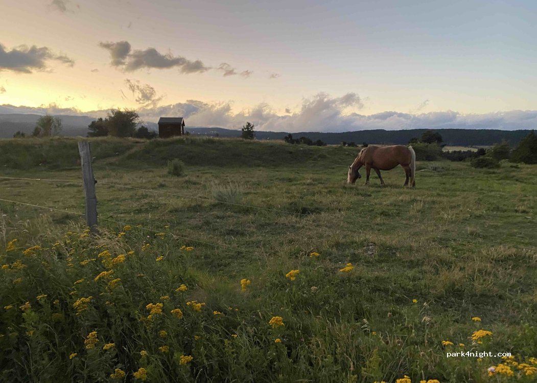 (66210) Saint-Pierre-dels-Forçats - D33 — foto 5
