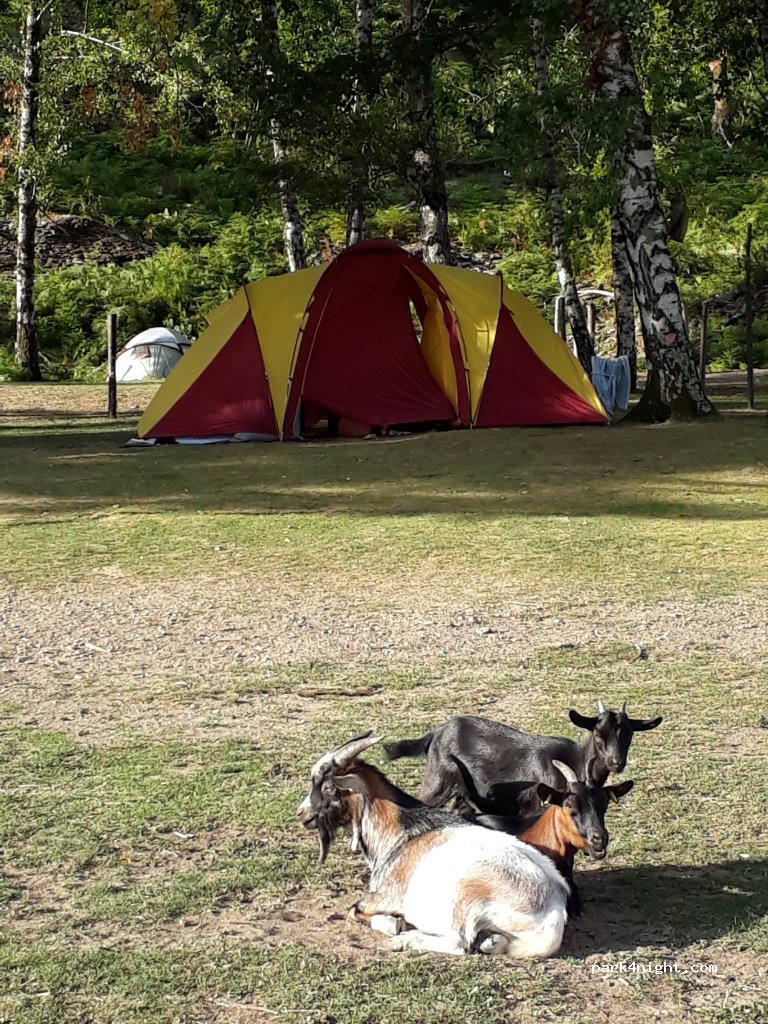 Camping Lou Mas del Miech — foto 2