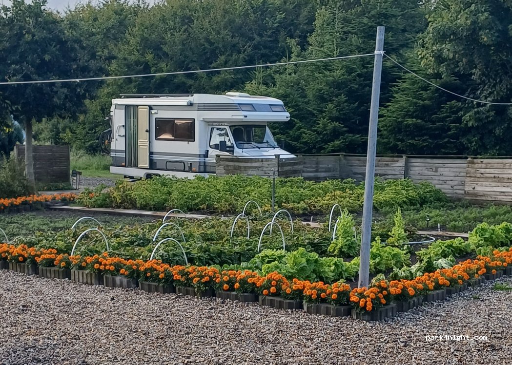 (9430) Vadum - 10 Øster Halne Hedevej — foto 5