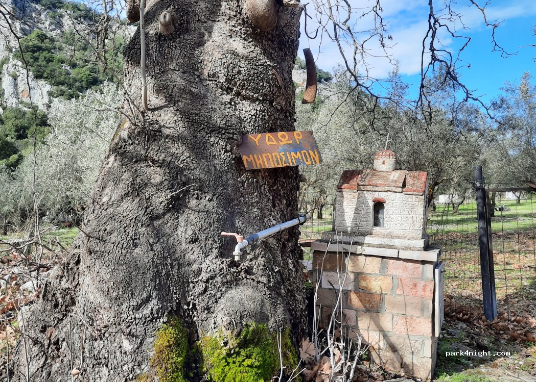 (330 57) Parnassos - Unnamed Road — foto 4