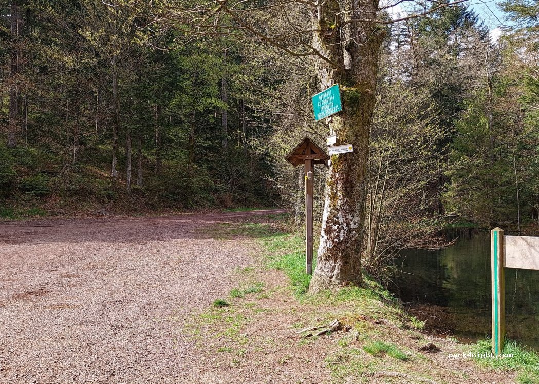 (67420) Plaine - Route de la Falle À Champenay — foto 2