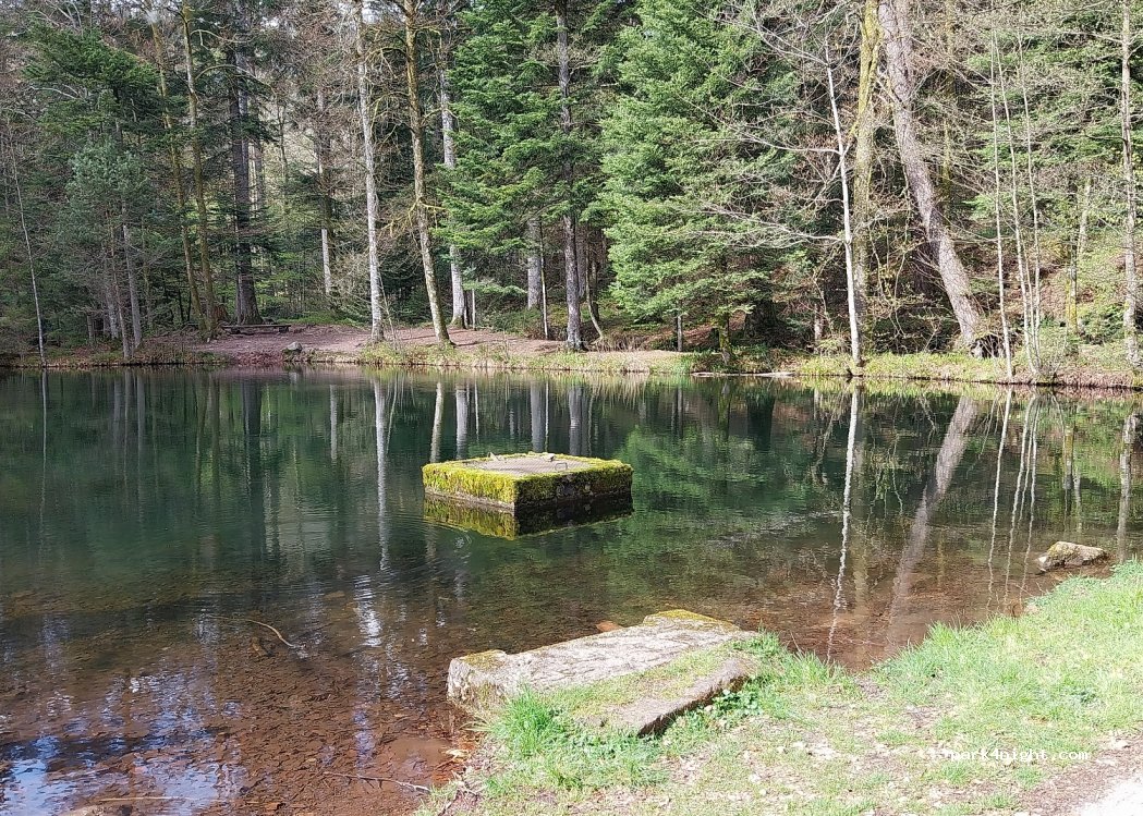 (67420) Plaine - Route de la Falle À Champenay — foto 3