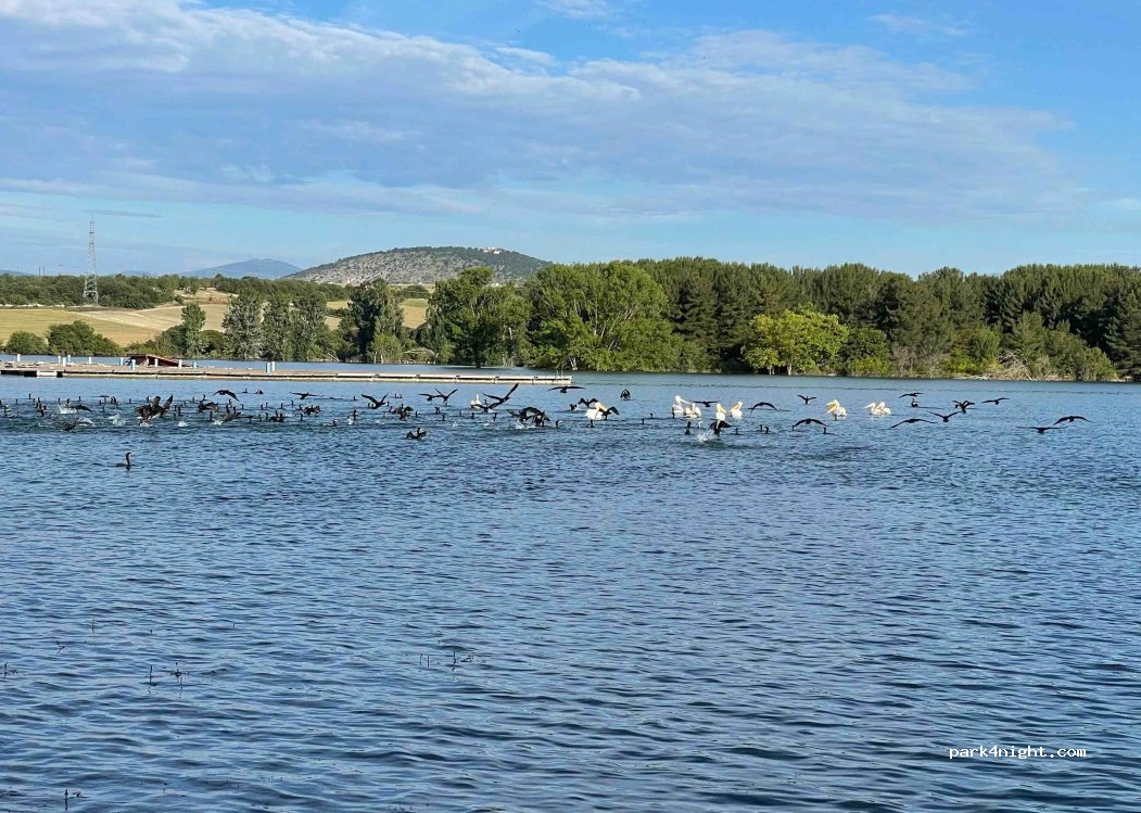 Nautical Club of Kozani — foto 4