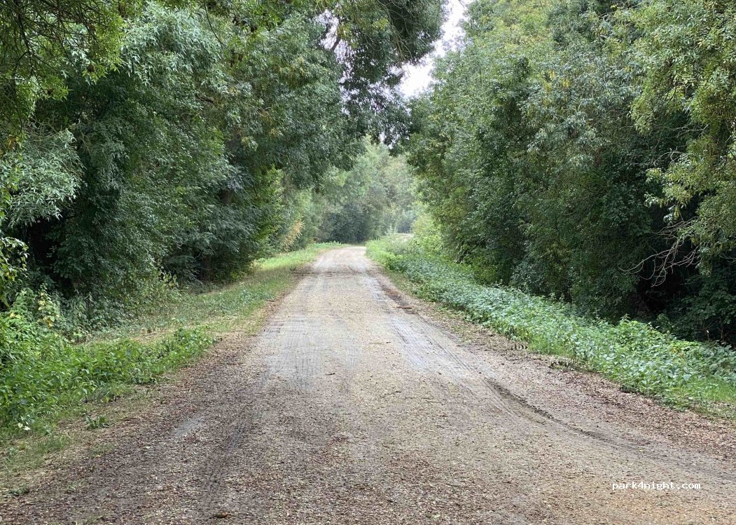 (49140) Rives-du-Loir-en-Anjou - 17 Chemin du Port — foto