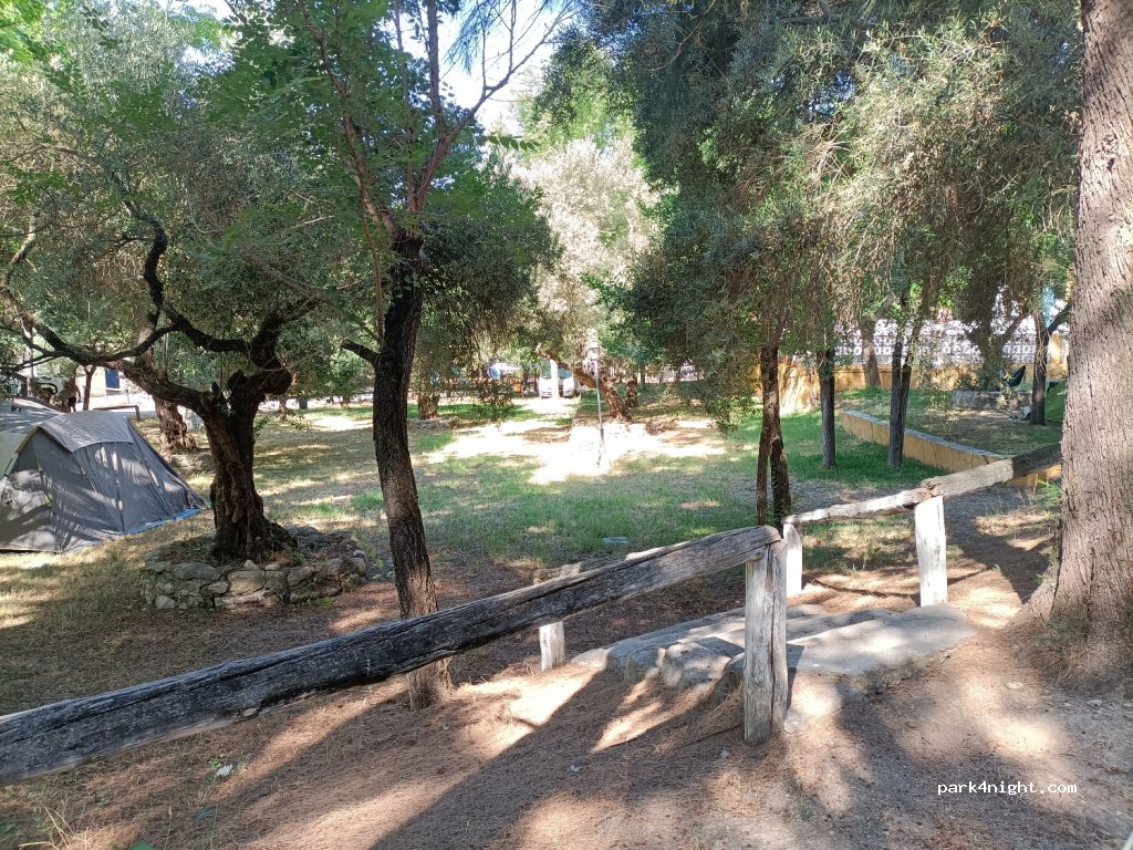 Camping la Torrecilla — foto 2