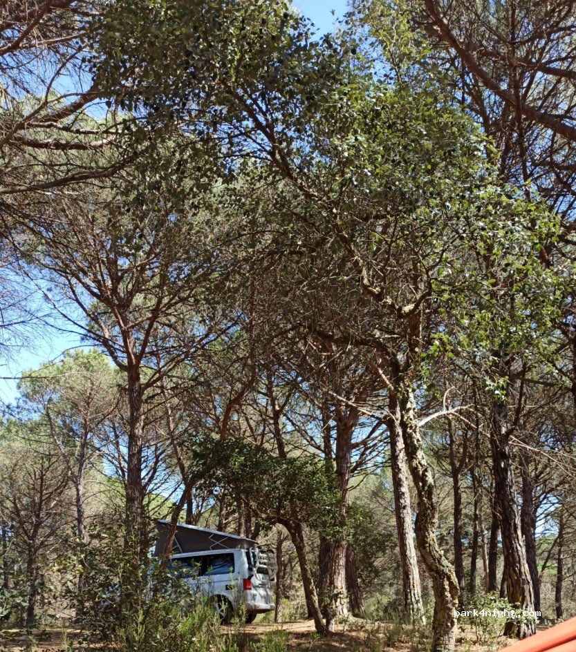 (17455) Caldes de Malavella - Unnamed Road — foto