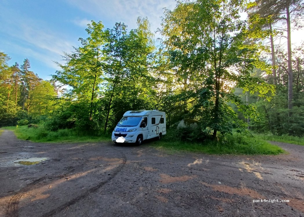(29367) Steinhorst - K1 — foto 3