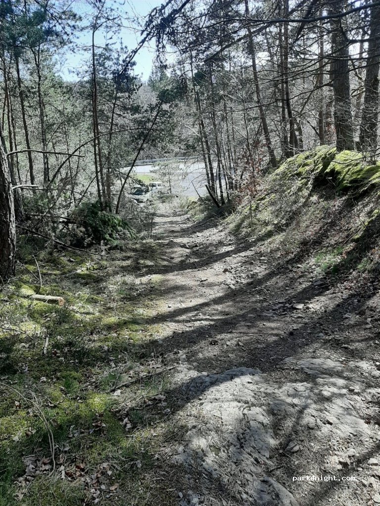 (63740) Cisternes-la-Forêt - Moulin de la Ribbe — foto