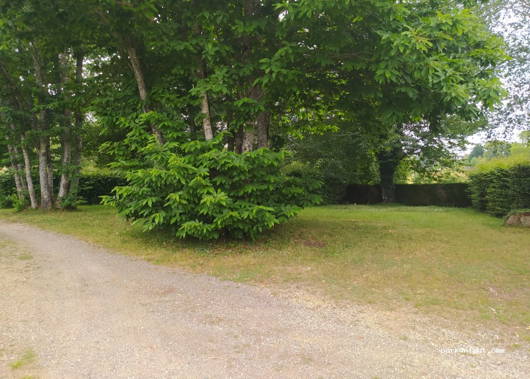 Camping Municipal — foto 4