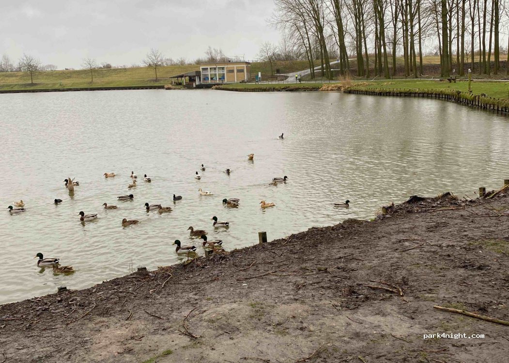(9220) Hamme - 9 Grootbroekstraat — foto 2