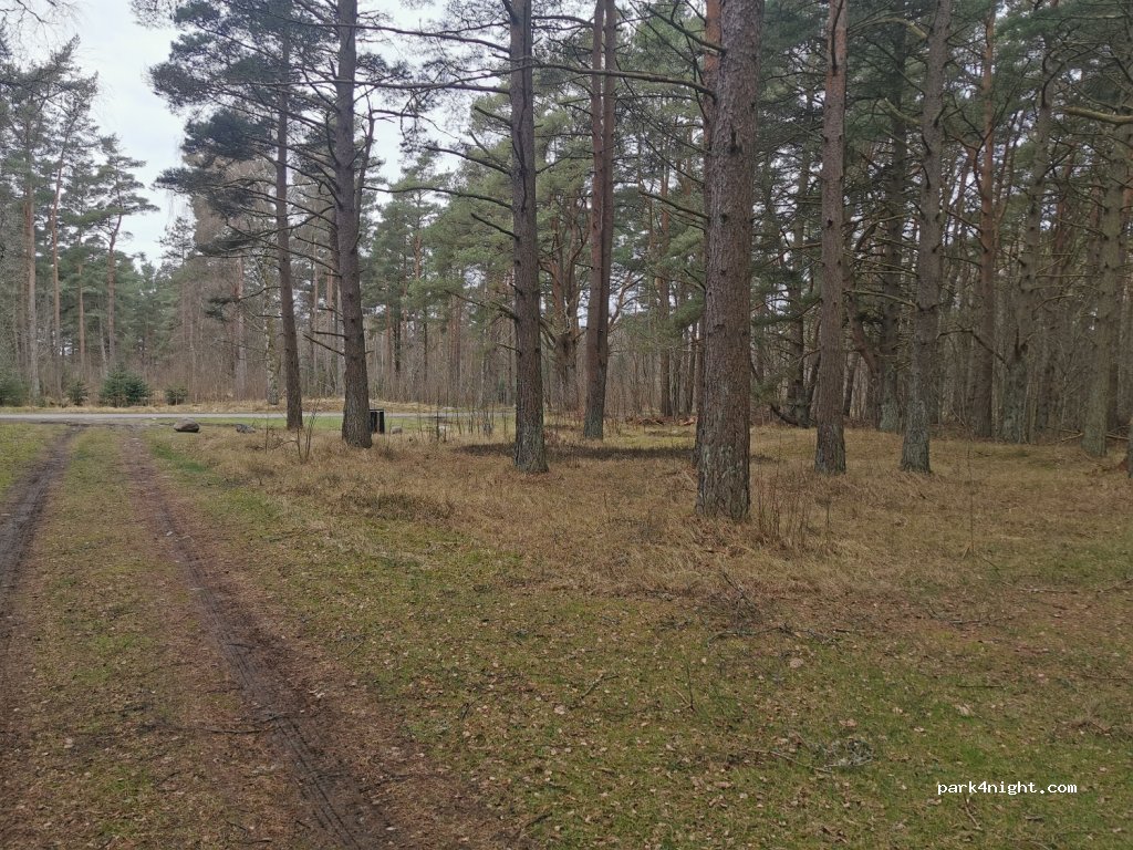 (9940) Læsø - 8 Blåbærvej — foto 2