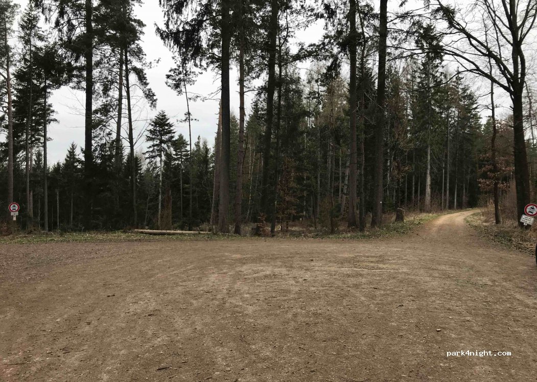 (95491) Glashüttener Forst - St2185 — foto