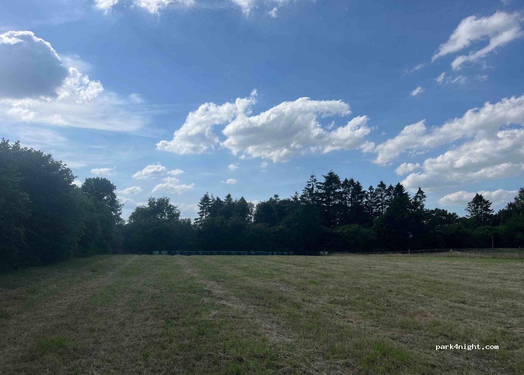 (23813) Blunk - 4 Segebergerstrasse — foto 4