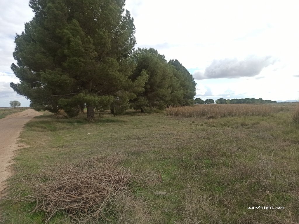 (45860) Villacañas - Camino del Romeral a las Pueblas — foto