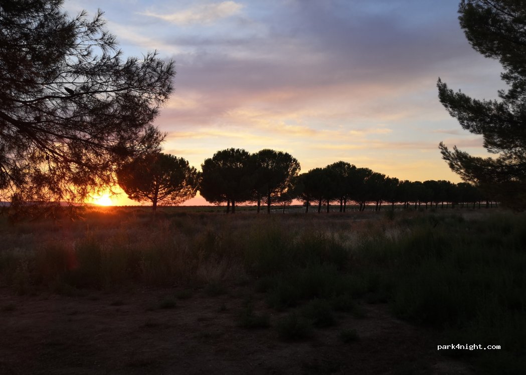 (45860) Villacañas - Camino del Romeral a las Pueblas — foto 2