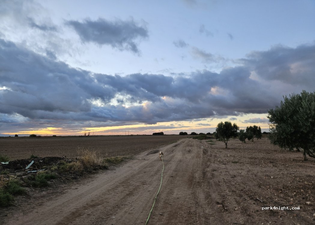 (45860) Villacañas - Camino del Romeral a las Pueblas — foto 3