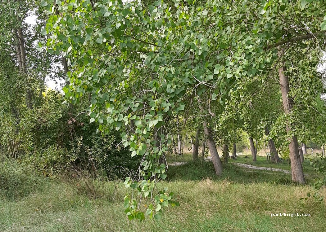(03850) Beniarrés - 10 Partida Pontet — foto 3