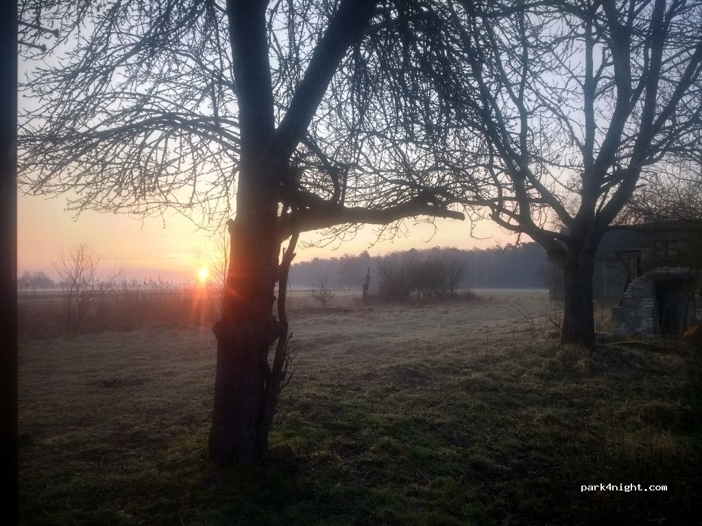(21) Łomazy - Unnamed Road — foto