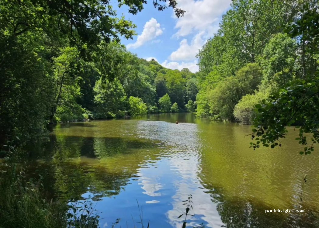 (53470) Commer - La Haie Bougere — foto 4