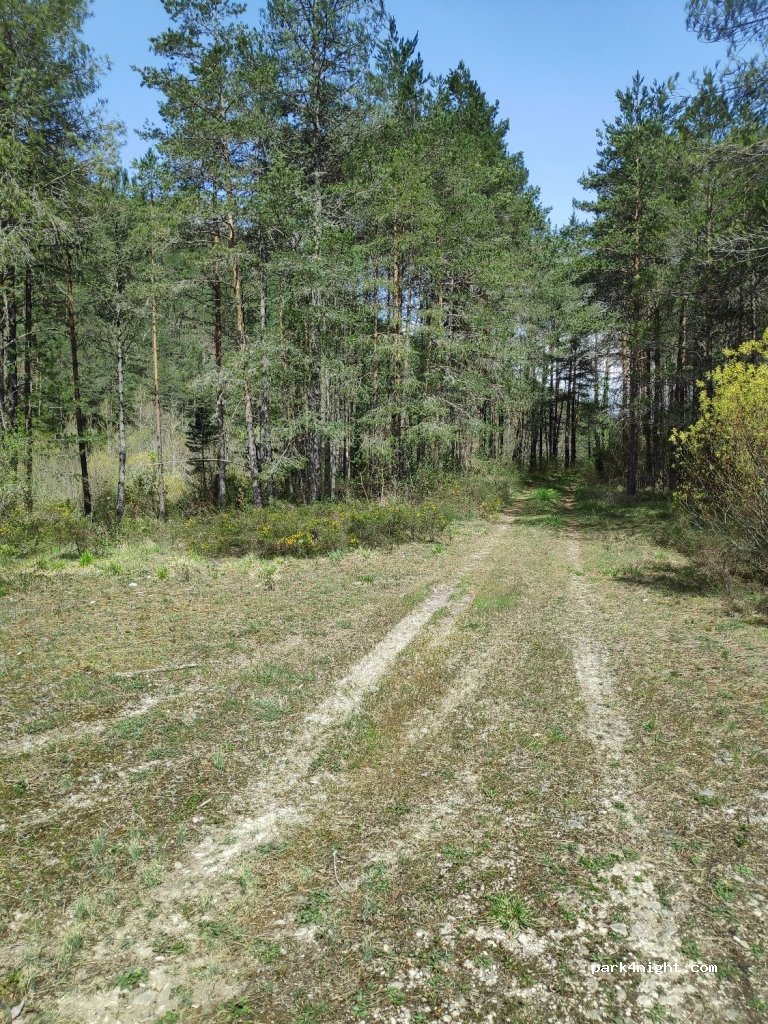 (31412) Roncal/Erronkari - Burgui-Isaba-Francia / Burgi-Izaba-Frantzia — foto