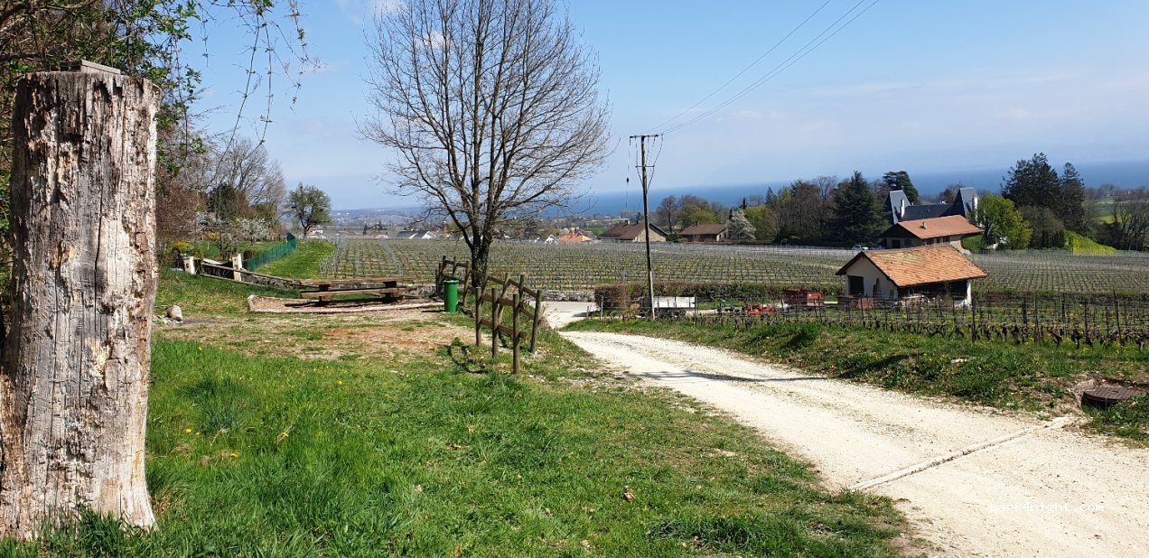 (1183) Bursins - 14 Route de la Perrette — foto 2