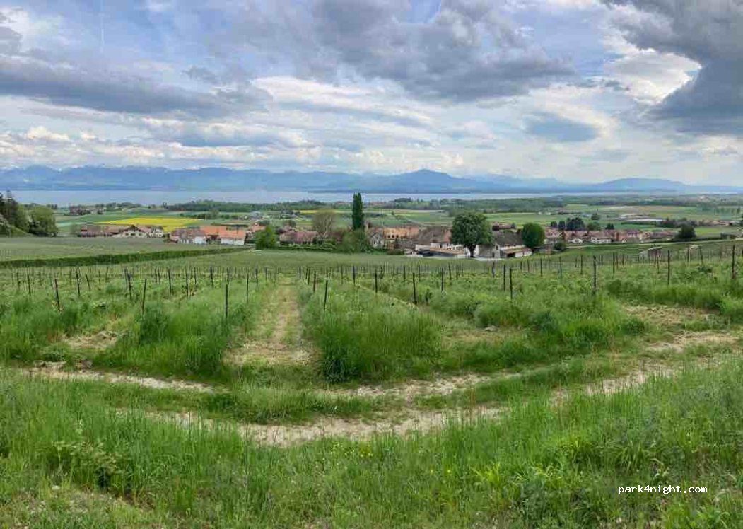 (1183) Bursins - 14 Route de la Perrette — foto 4