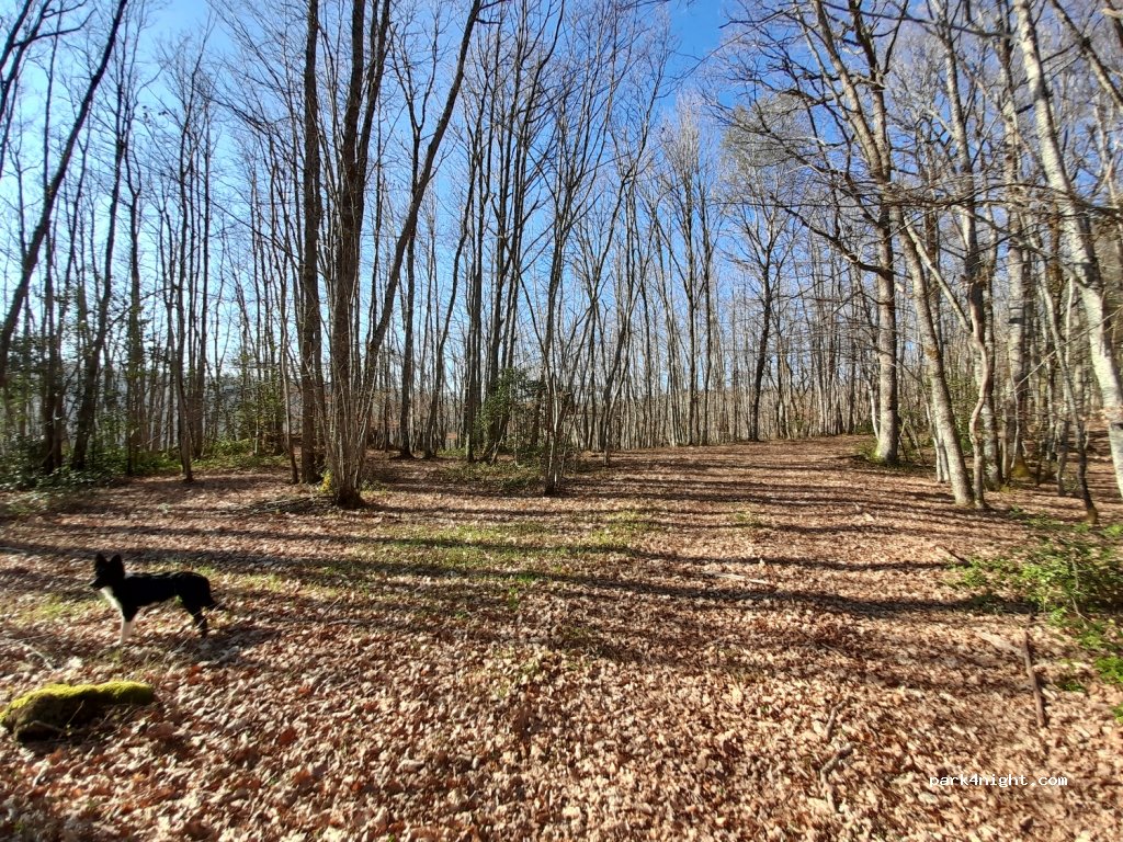 (15230) Paulhenc - Unnamed Road — foto
