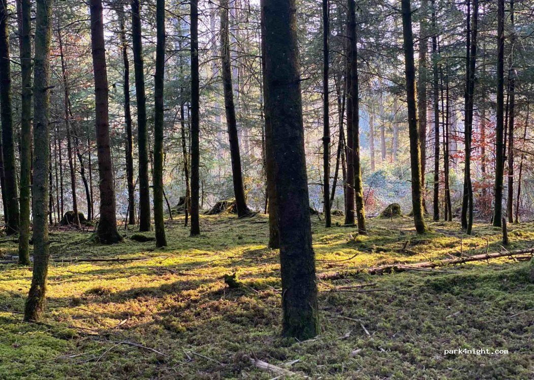 (3114) Wichtrach - Krückhaldenweg — foto