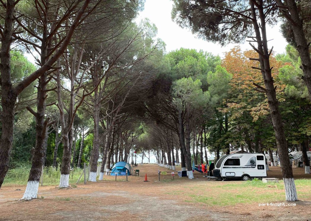 Camping Ant — foto 2
