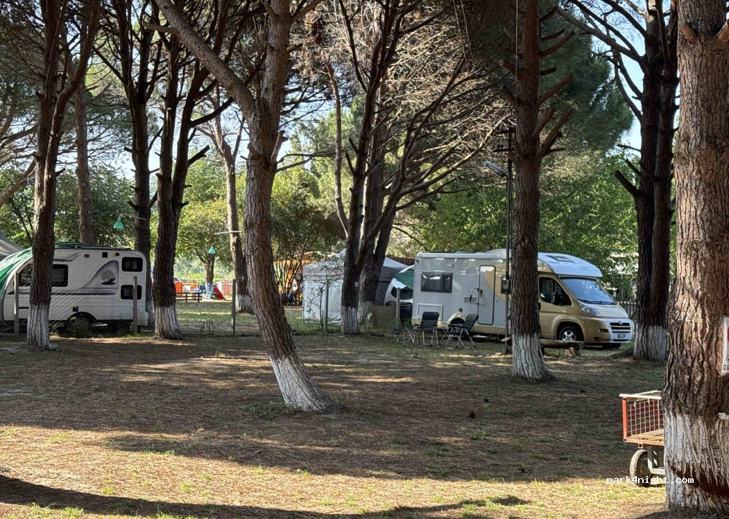 Camping Ant — foto 3