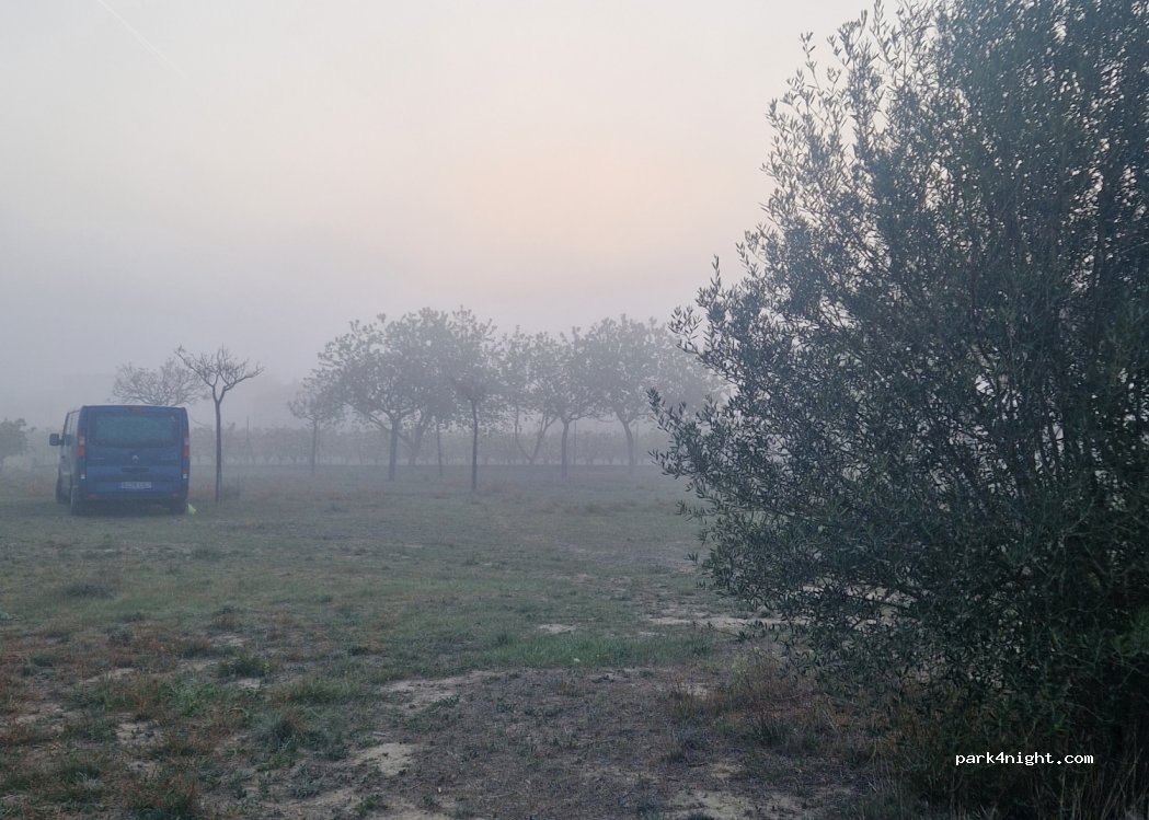 (43747) Miravet - 1 Urbanitzacio l'Alcudia — foto 4