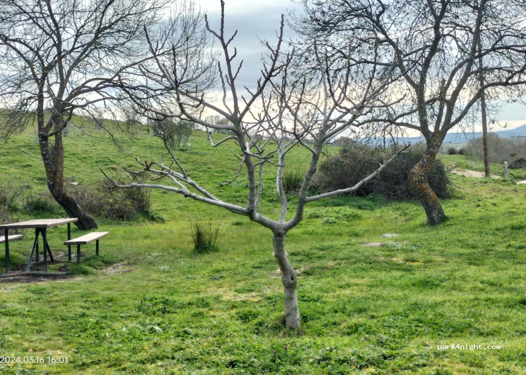 (28721) Cabanillas de la Sierra - — foto