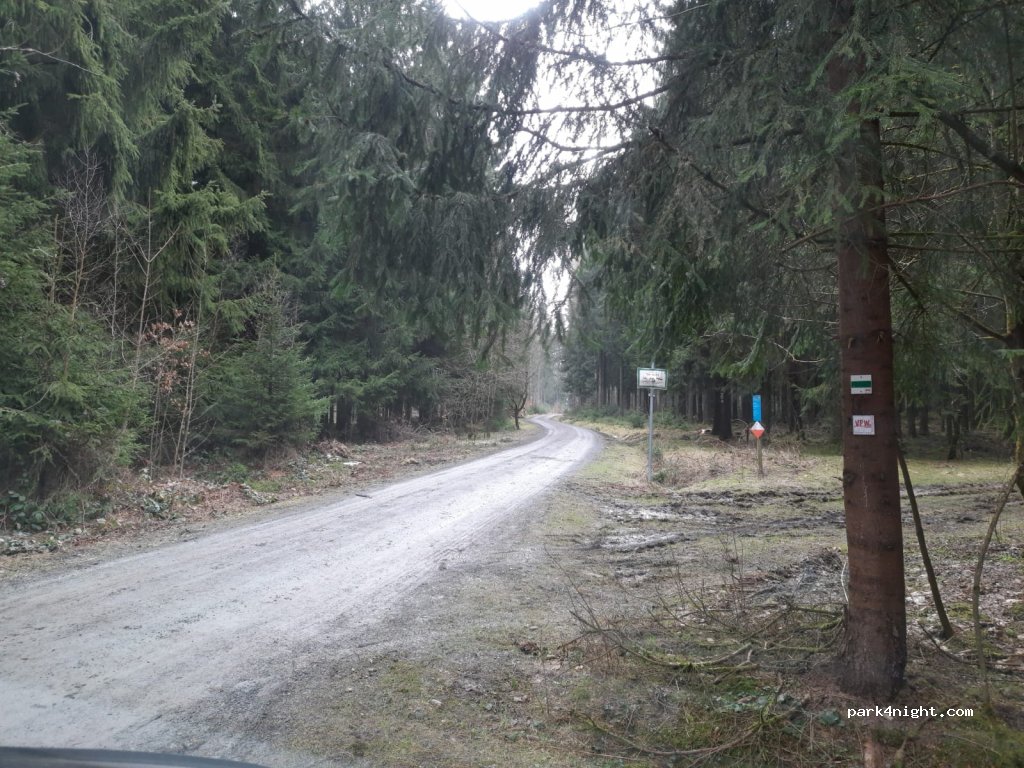 (08258) Erlbach - Wernitzgrüner Straße — foto
