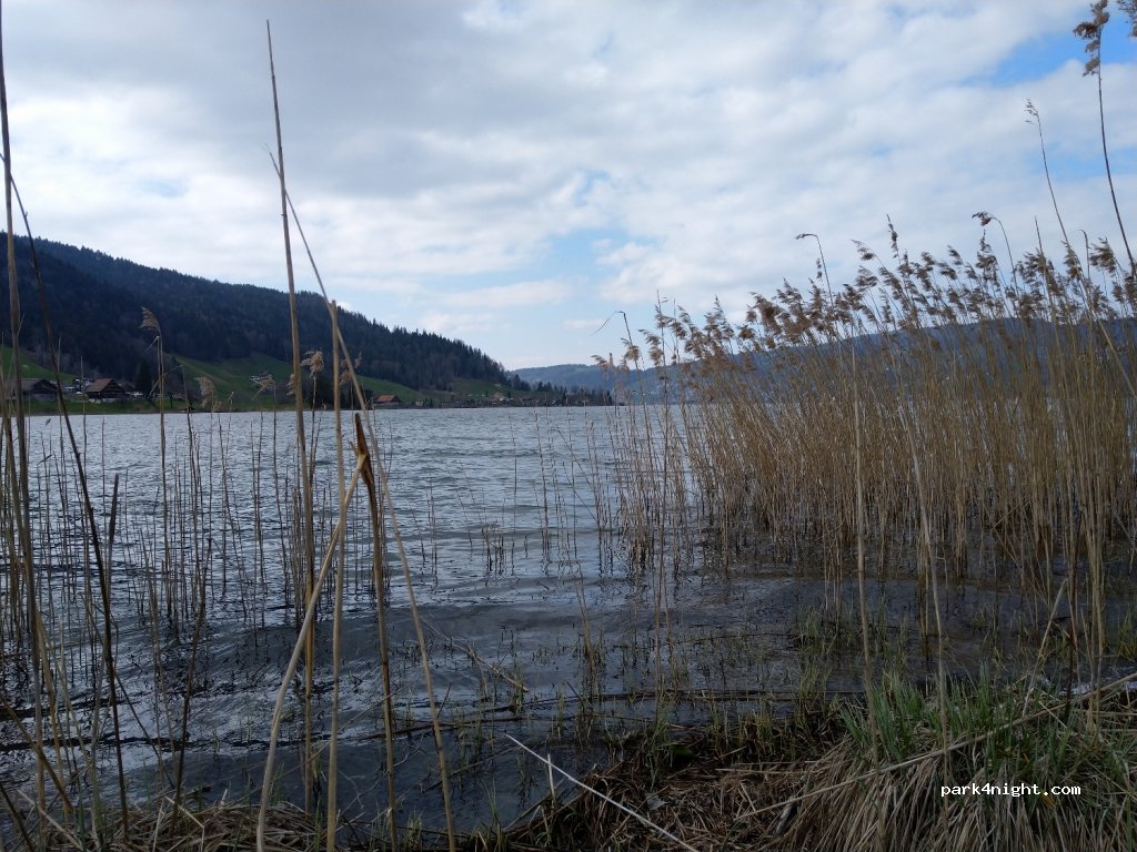 (6315) Oberägeri - 118 Hauptseestrasse — foto