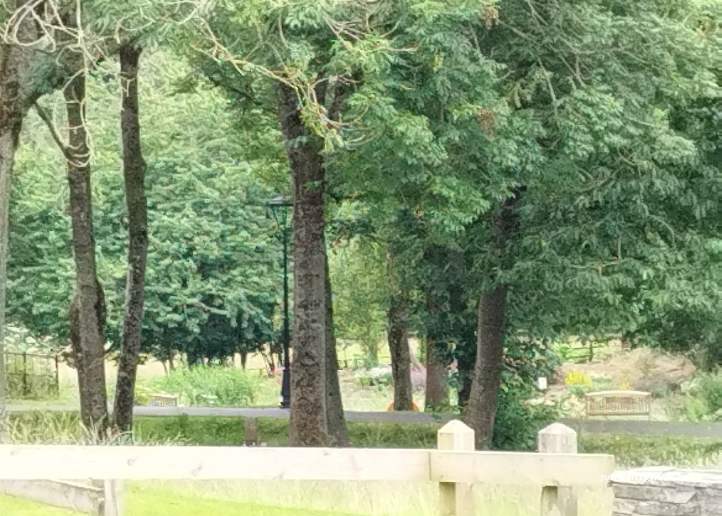 (BT49 9NN) Limavady - Dogleap Road — foto 4
