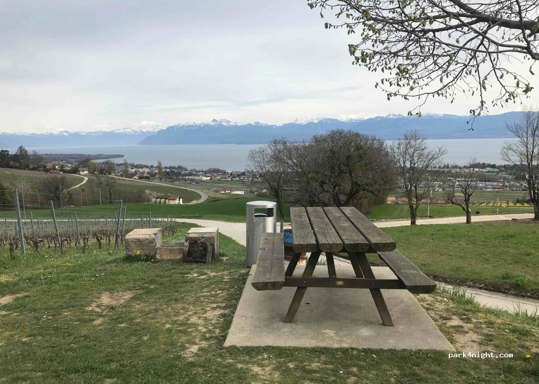 (1180) Tartegnin - 1 Chemin de la Bossenaz — foto