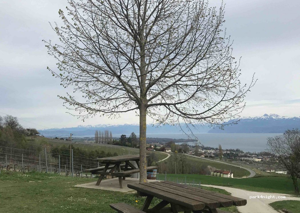 (1180) Tartegnin - 1 Chemin de la Bossenaz — foto 2
