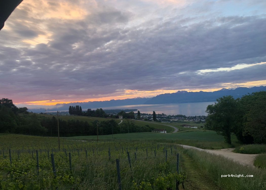 (1180) Tartegnin - 1 Chemin de la Bossenaz — foto 3