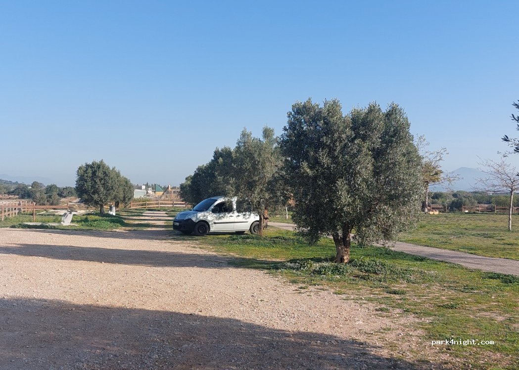 (12500) Vinaròs - Camí de la Ermita de Sant Sebastià — foto 4
