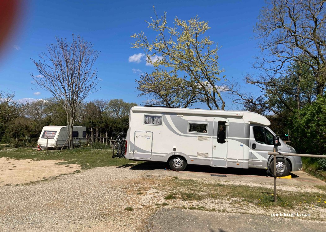 Camping Floral — foto